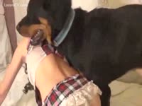 Doggie cum covers her pointer sisters